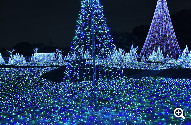 ●カメラ: D750 ●レンズ: AF-S NIKKOR 20mm f/1.8G ED ●露出モード: 絞り優先オート、1/30秒、f/5.6 ●ホワイトバランス: 電球 ●ISO感度: ISO 3200