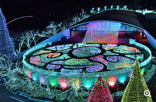 ●カメラ: D5600 ●レンズ: AF-S DX NIKKOR 35mm f/1.8G ●撮影モード: 絞り優先オート、1/60秒、f/5.6 ●ホワイトバランス: オート ●ISO感度: オート（ISO 2800）