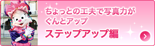 ちょっとの工夫で写真力がぐんとアップ「ステップアップ編」