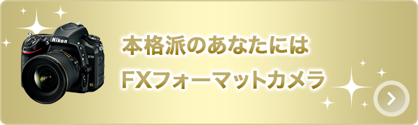 本格派のあなたにはFXフォーマットカメラ