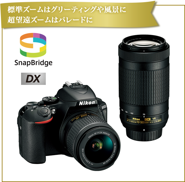 標準ズームはグリーティングや風景に超望遠ズームはパレードに