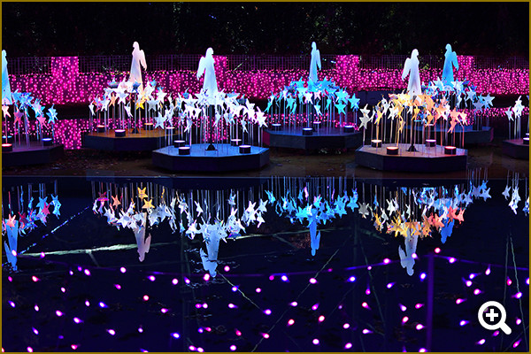 ●カメラ: D5600 ●レンズ: AF-S DX NIKKOR 35mm f/1.8G ●撮影モード: プログラムオート、1/60秒、f/2 ●ホワイトバランス: オート ●ISO感度: オート（ISO 400）