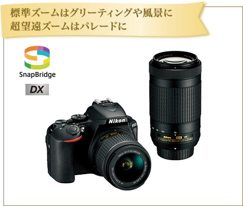 標準ズームはグリーティングや風景に超望遠ズームはパレードに