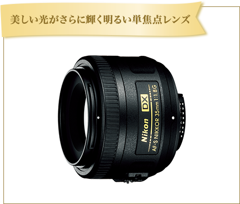 美しい光がさらに輝く明るい広角レンズ