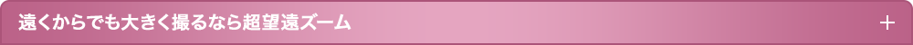 遠い場所からでも大きく撮るなら超望遠ズーム