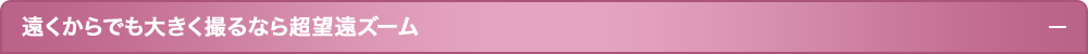 遠い場所からでも大きく撮るなら超望遠ズーム