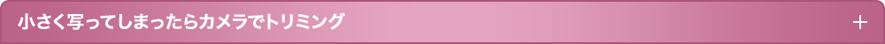 小さく写ってしまったらカメラでトリミング