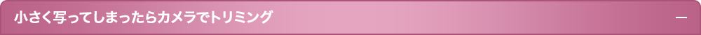 小さく写ってしまったらカメラでトリミング