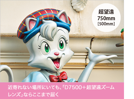 近寄れない場所にいても、「D7500＋超望遠ズームレンズ」ならここまで届く