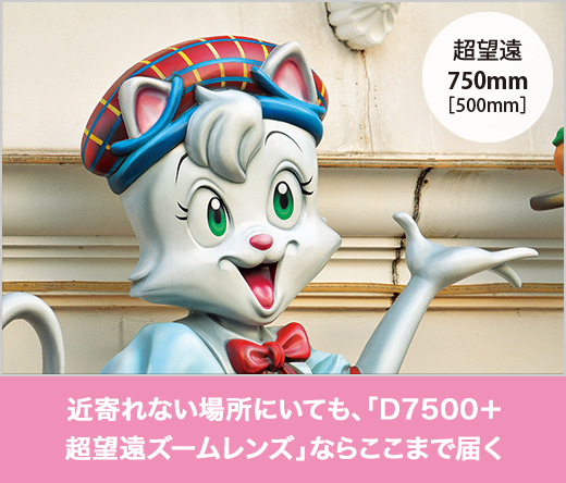 近寄れない場所にいても、「D7500＋超望遠ズームレンズ」ならここまで届く