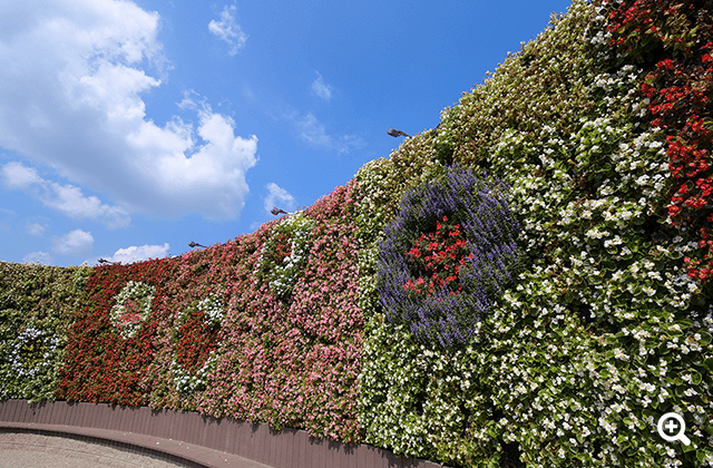 ●カメラ：D7500 ●レンズ：AF-P DX NIKKOR 10-20mm f/4.5-5.6G VR ●撮影モード：絞り優先オート、1/160秒、f/11 ●ホワイトバランス：オート1 ●ISO感度：ISO 100