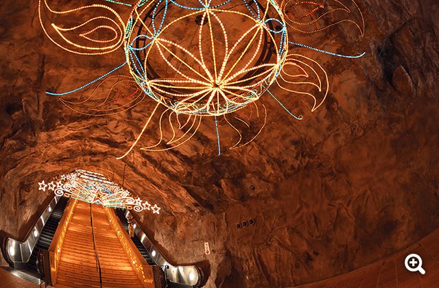 ●カメラ：D7500 ●レンズ： AF DX Fisheye-Nikkor 10.5mm f/2.8G ED ●撮影モード：絞り優先オート、1/20秒、f/2.8 ●ホワイトバランス：晴天 ●ISO感度：オート（ISO 1600）