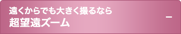 遠い場所からでも大きく撮るなら超望遠ズーム