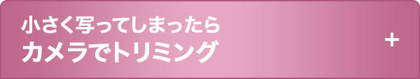 小さく写ってしまったらカメラでトリミング