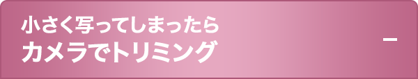 小さく写ってしまったらカメラでトリミング