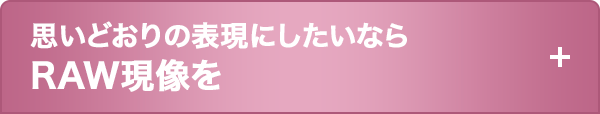 思いどおりの表現にしたいならRAW現像を