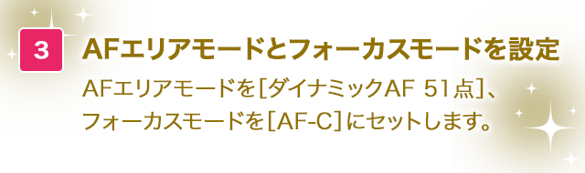 AFエリアモードを設定昼＆夜パレードは[ダイナミックAF 39点]、イルミネーションは［シングルポイントAF］に