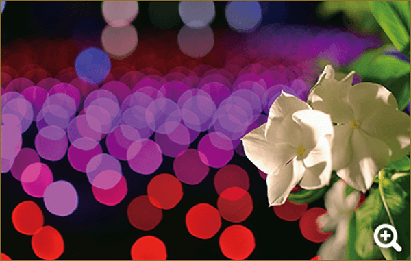 ●カメラ：D7500 ●レンズ： AF-S DX NIKKOR 35mm f/1.8G ●撮影モード：プログラムオート、1/100秒、f/2.2 ●ホワイトバランス：白色蛍光灯 ●ISO感度：オート（ISO 1600）