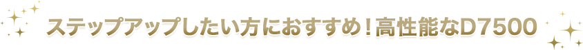 ステップアップしたい方におすすめ!高性能なD7500