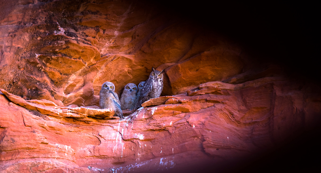 大地のうるおい
