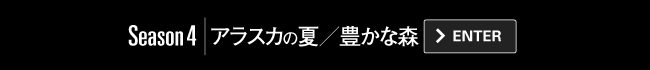 Season4｜アラスカの夏／豊かな森
