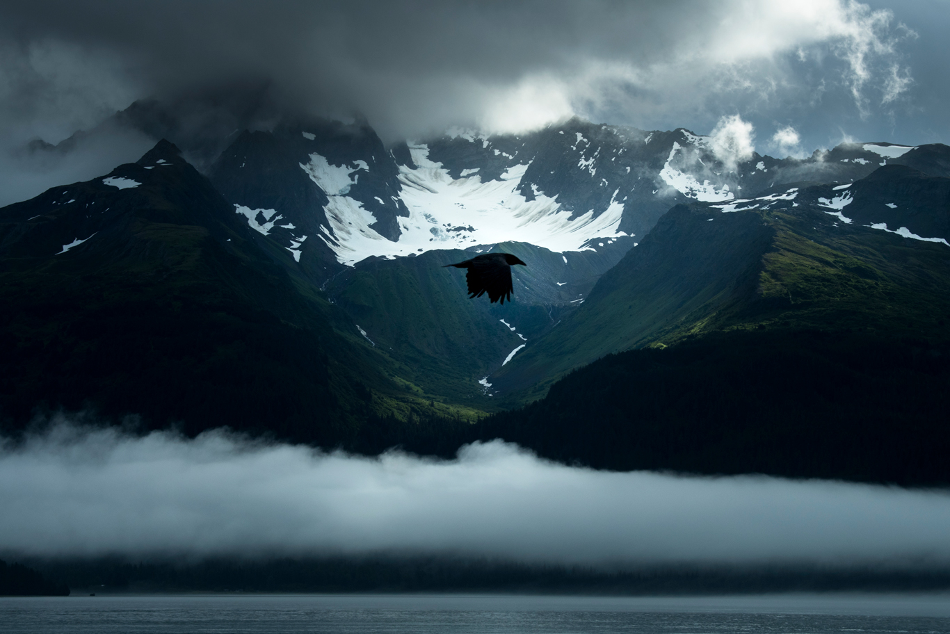 水のさまざまな形態