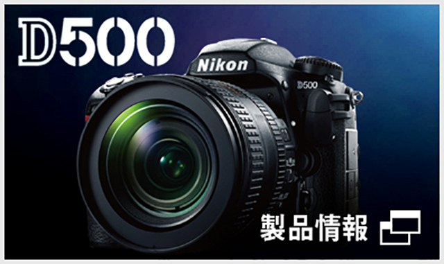 Nikon D500