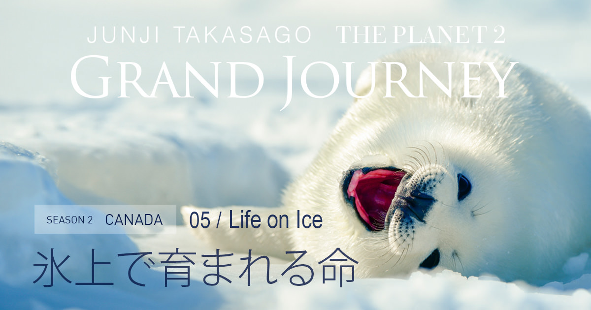 THE PLANET 2 -Season2- Life on Ice