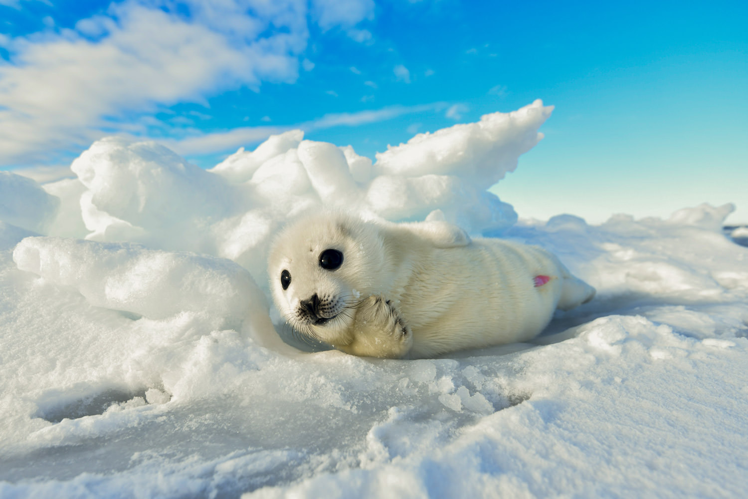 居心地のいい場所
