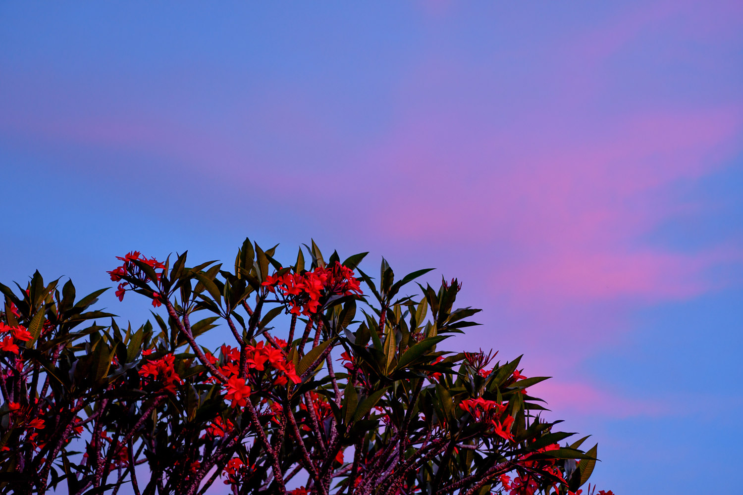 日没後の夕焼け