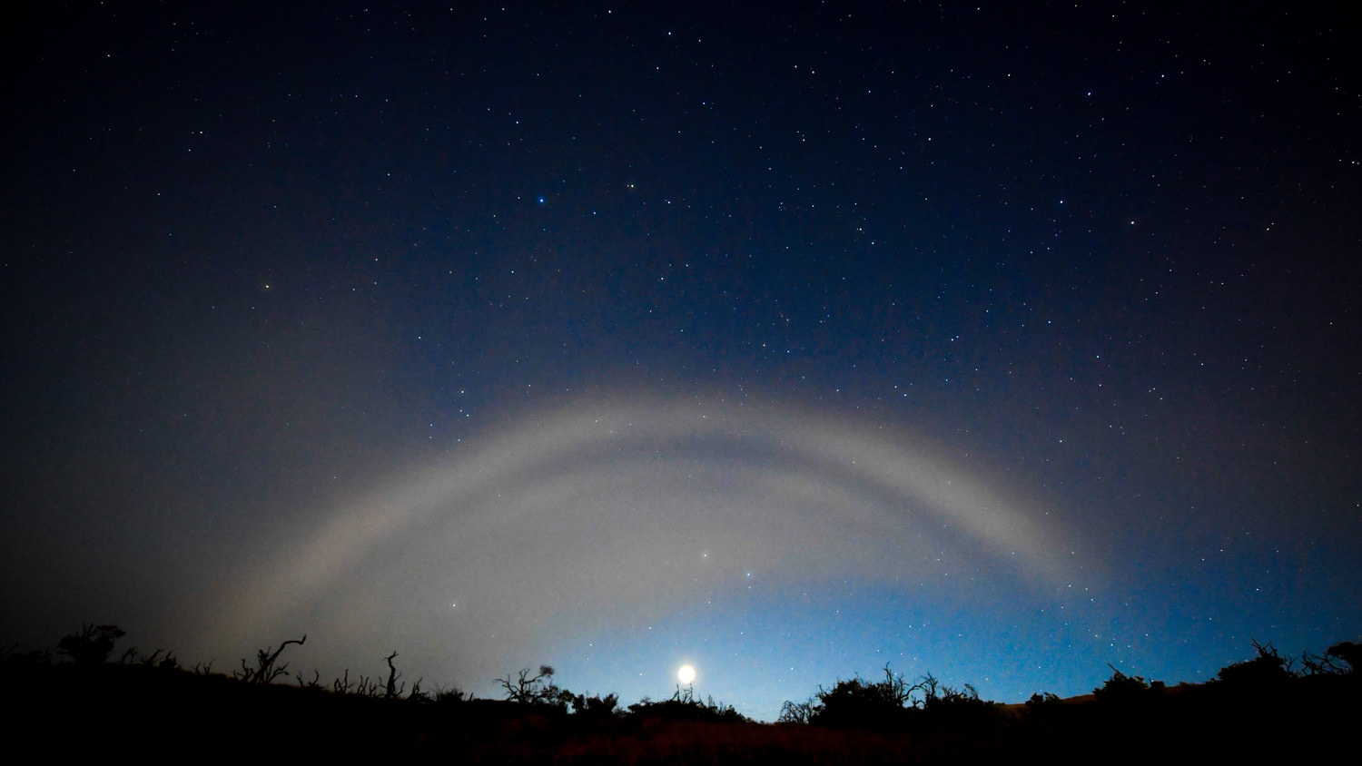 ナイトレインボー