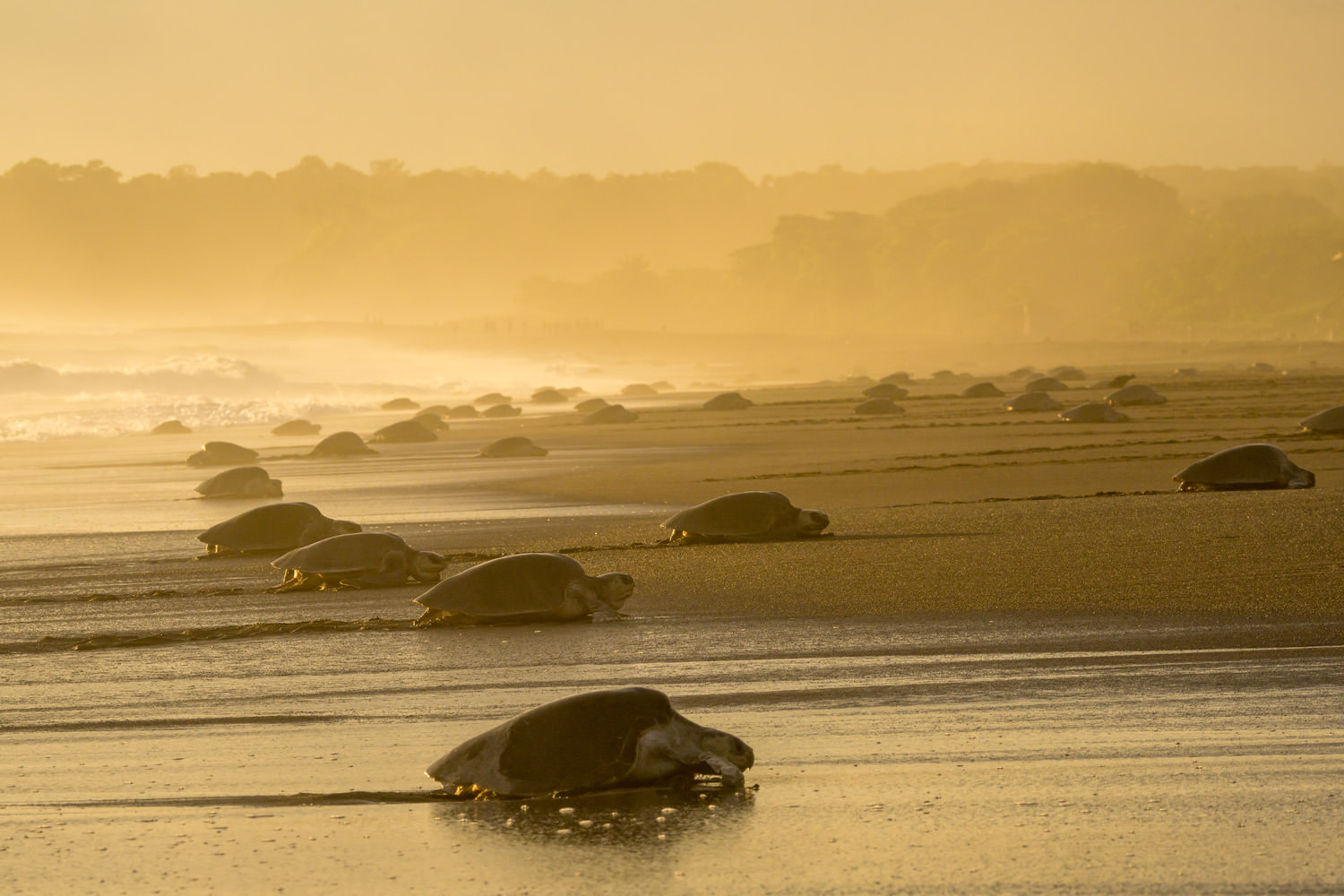 アリバダという奇跡