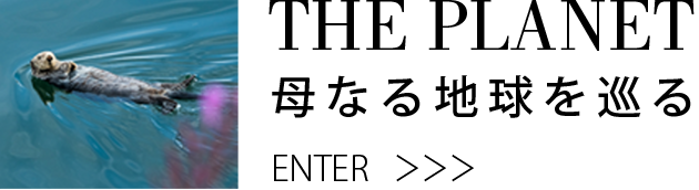 THE PLANET 母なる地球を巡る