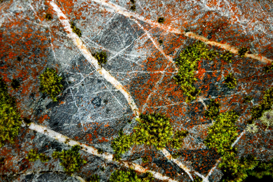 岩のディテール