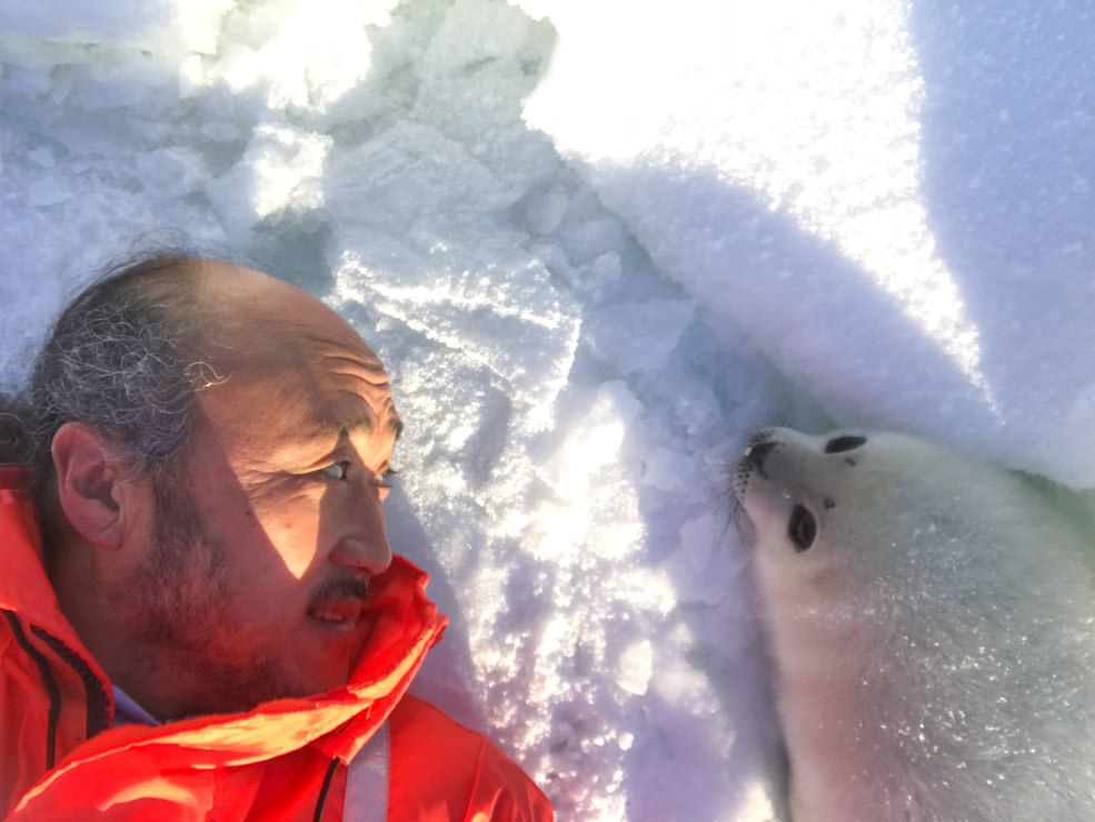 アザラシの赤ちゃんと自撮り。嫌がっているのか、気になっていないのか、微妙な表情。