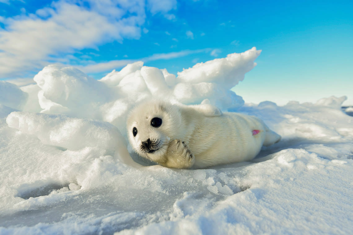 居心地のいい場所