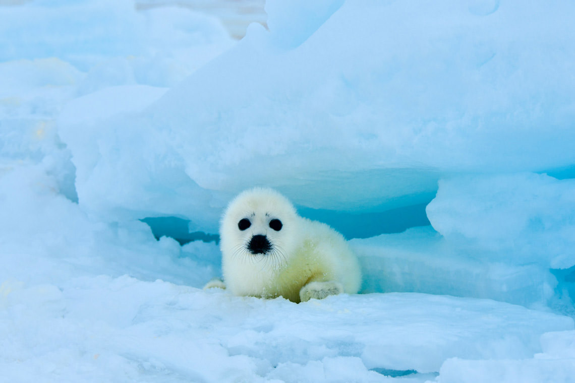 居心地のいい場所