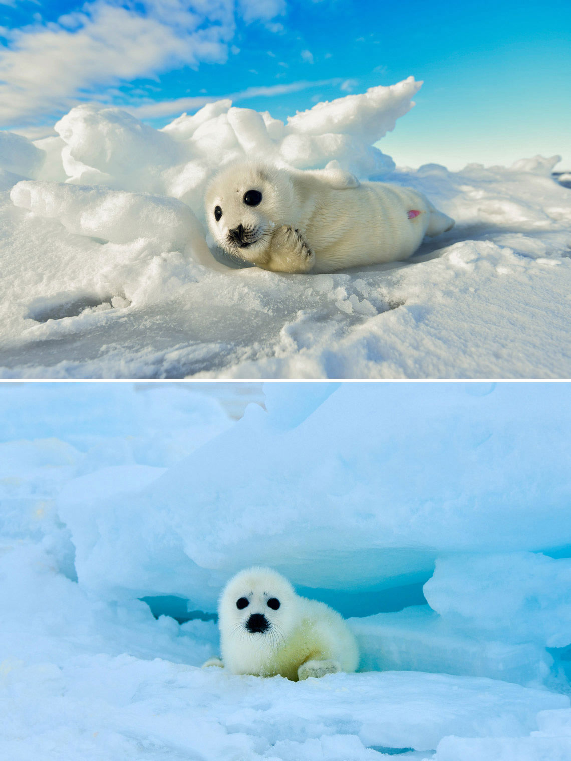 居心地のいい場所