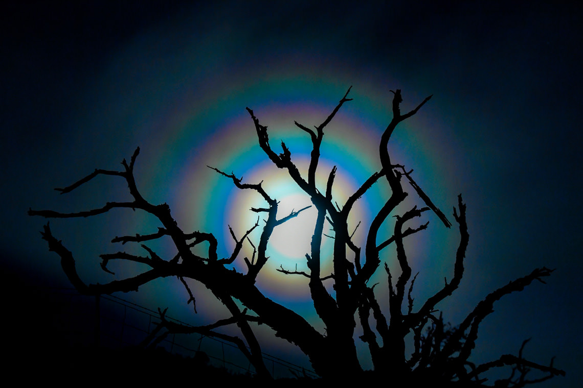 月暈（つきがさ）