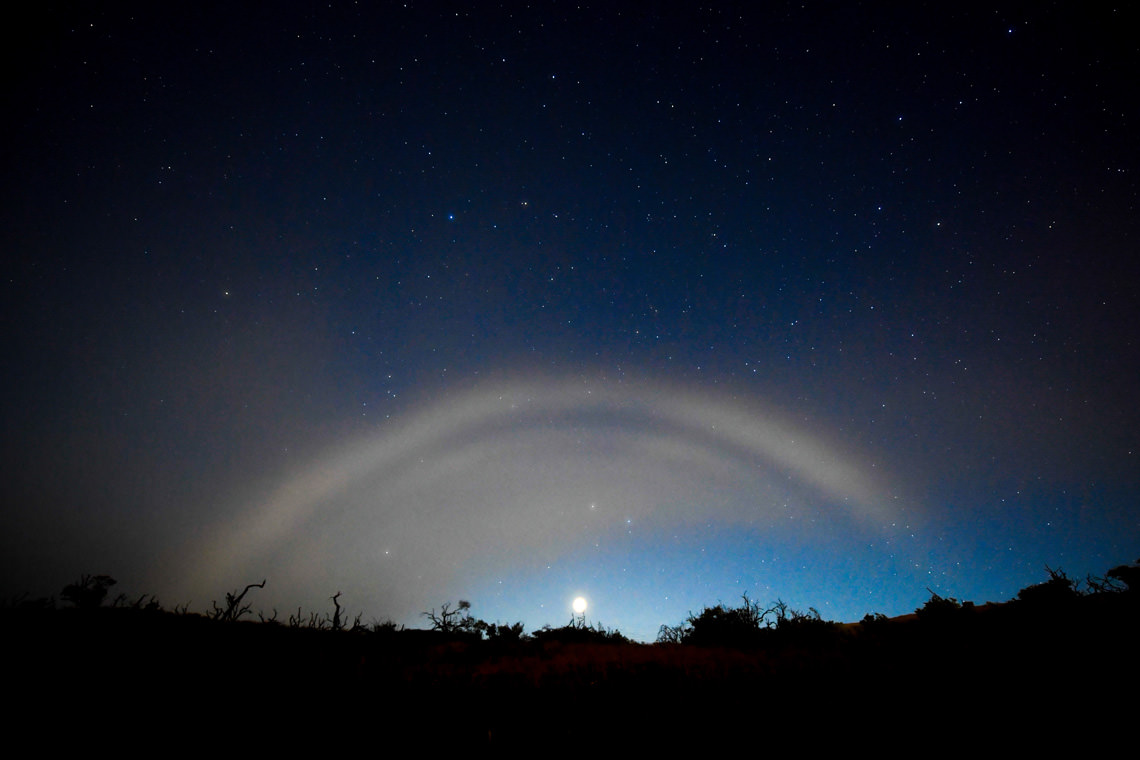 ナイトレインボー