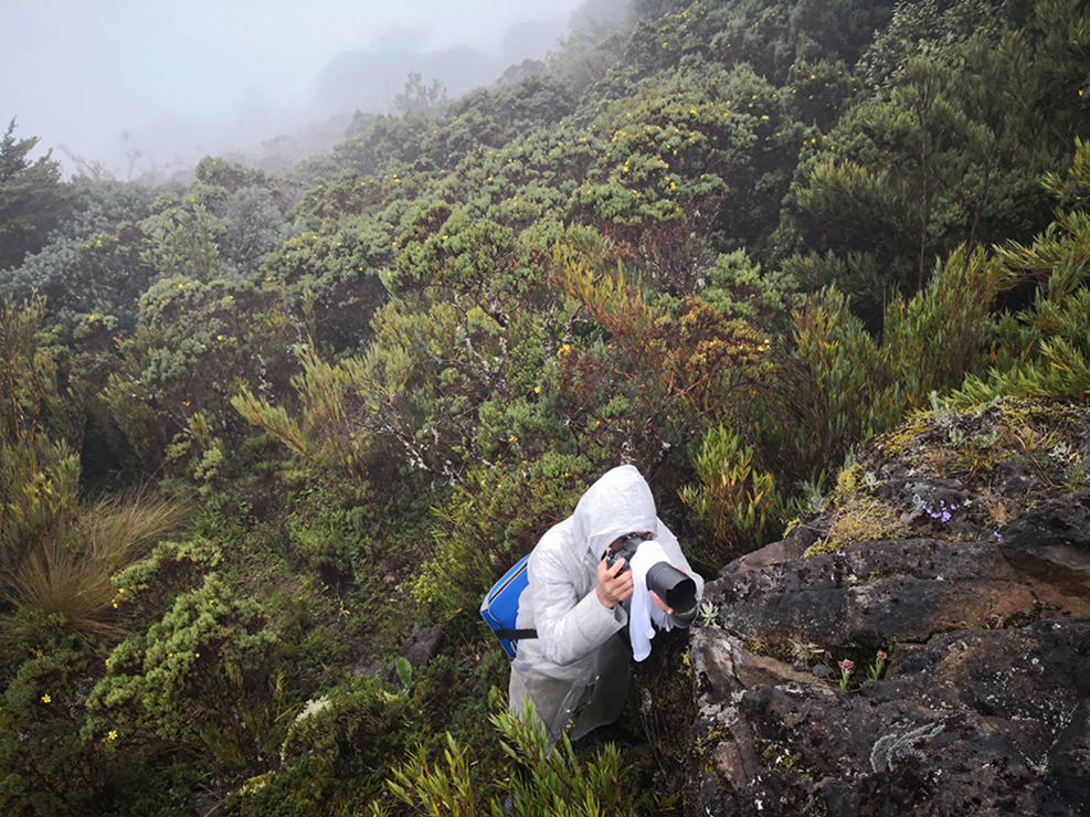 雨の中、カッパを着て細かな植物を撮影中。