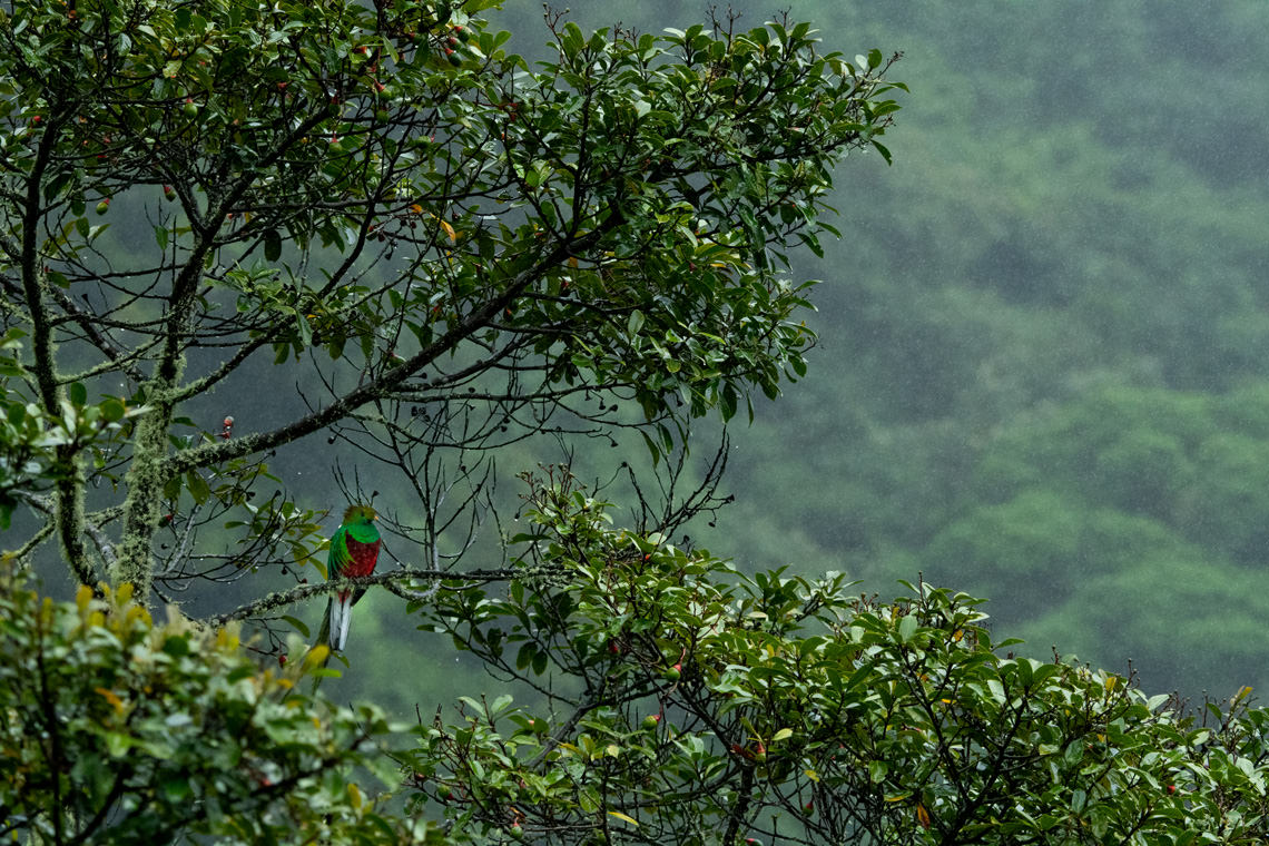 究極のデザイン