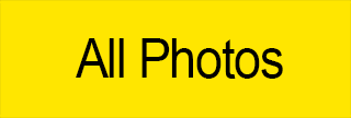 All Photos