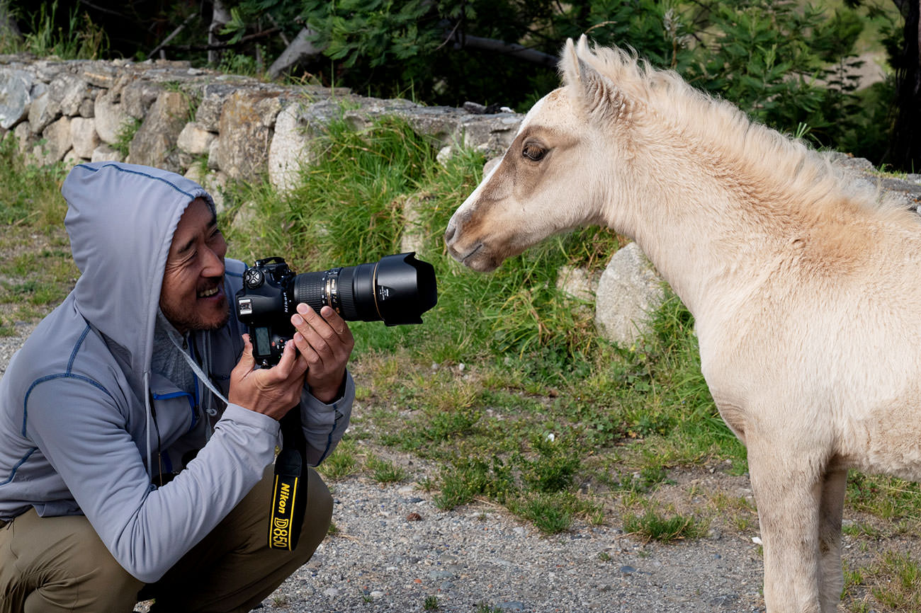 人懐っこいポニー（2枚組）