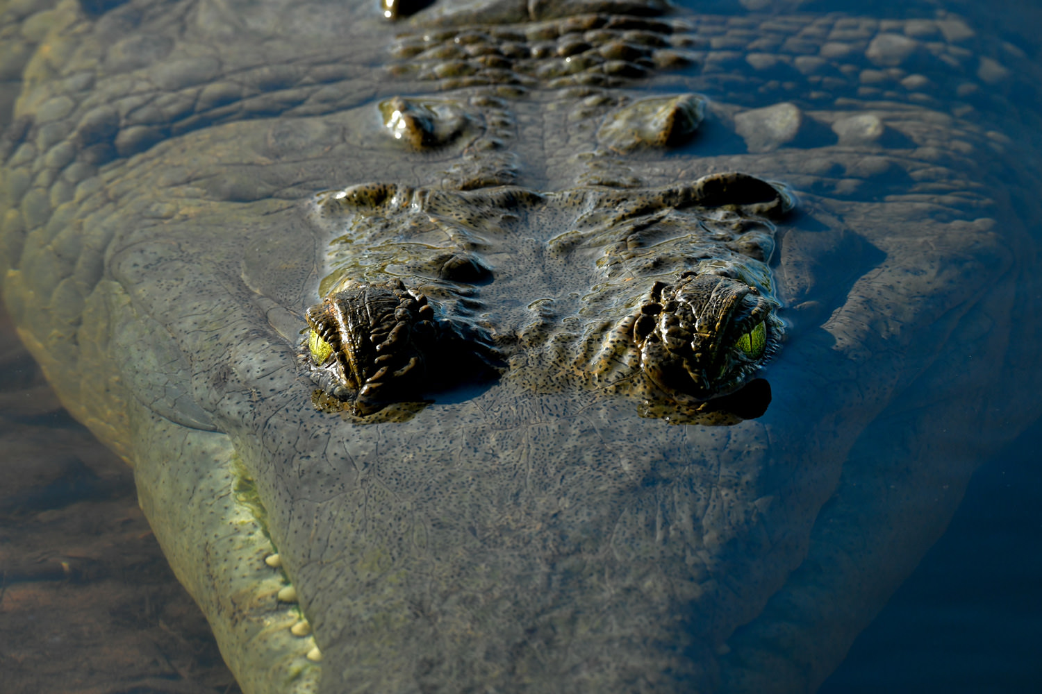不気味な目つき