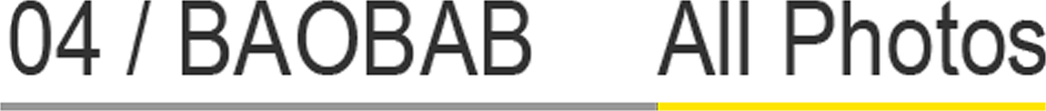 04 / BAOBAB All Photos