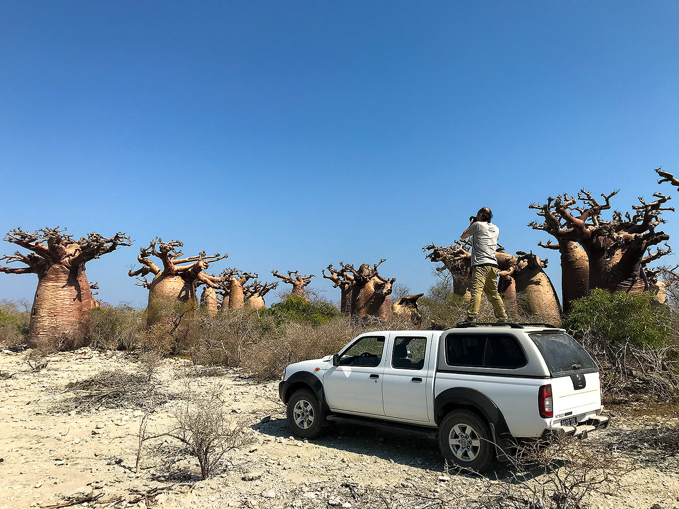 バオバブ林の撮影