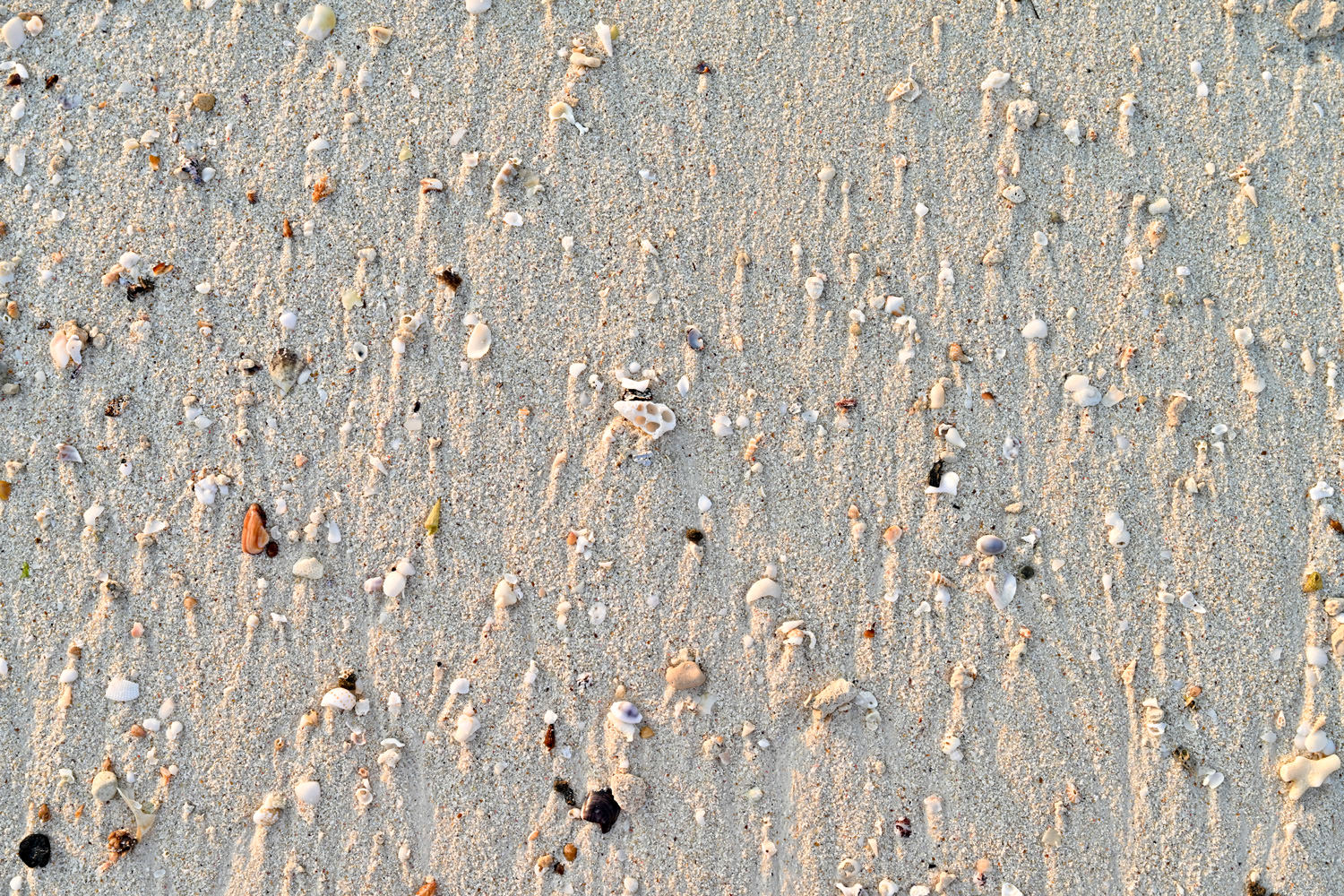 小さなオブジェたち