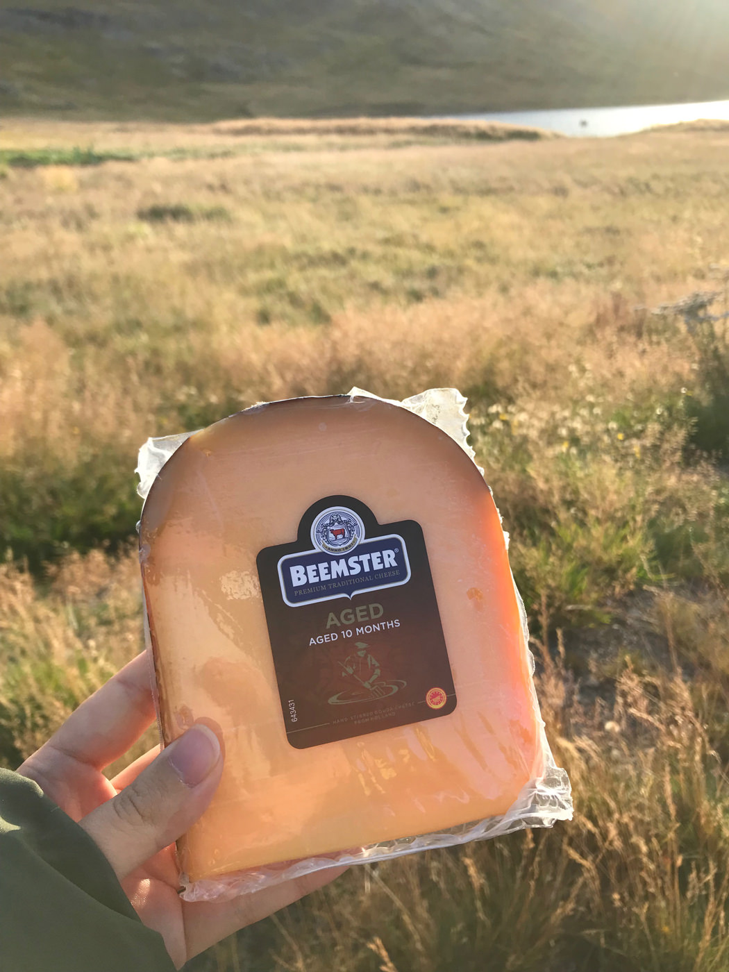 天からのプレゼント