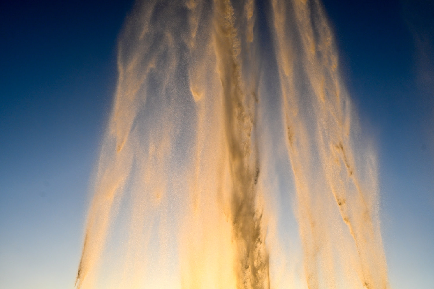 水滴が夕日を帯びる
